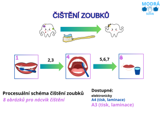 Procesuální schéma čištění zoubků